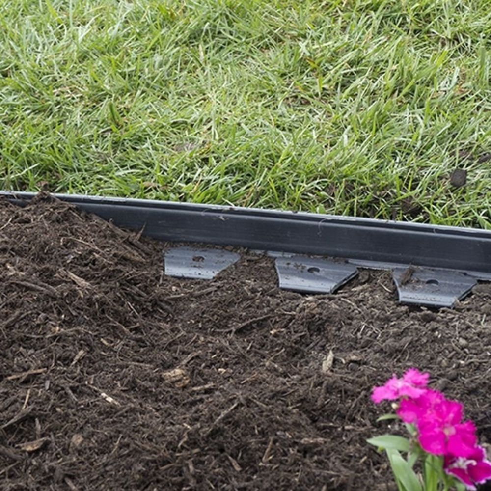 Black plastic edging pegged in between a lawn and a soil bed